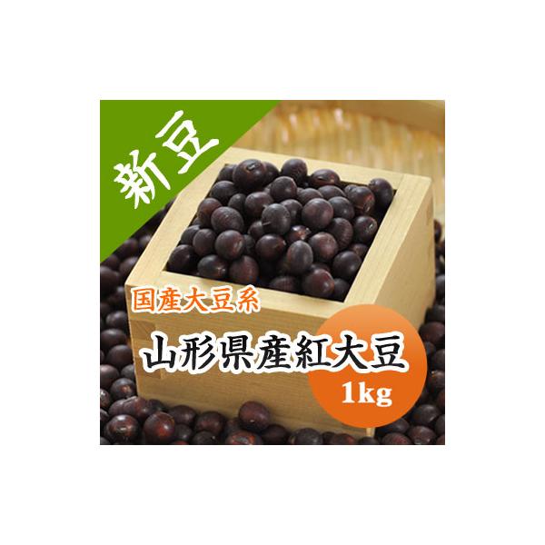 紅大豆 山形県産 ひたし豆 令和７年産 1kg