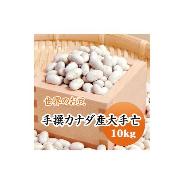 豆 白いんげん豆 大手亡 カナダ産 送料無料 10kg