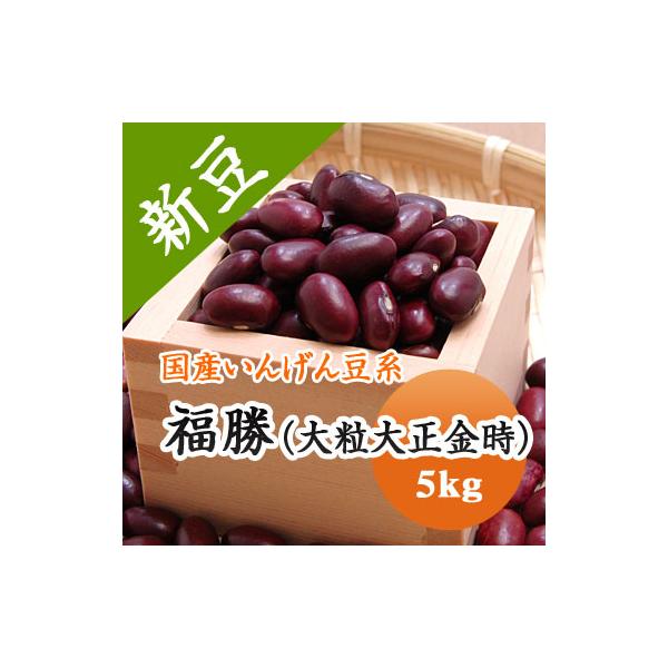 豆 金時豆 大粒 送料無料 北海道産 福勝 令和７年産 5kg 業務用