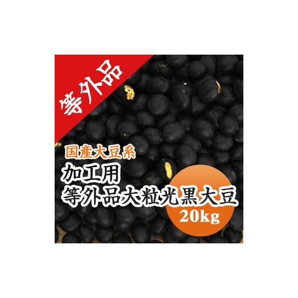 豆 黒豆 加工用 【等外品】 大粒黒豆 北海道産 令和７年産 20kg 業務用 お買い得品 送料無料