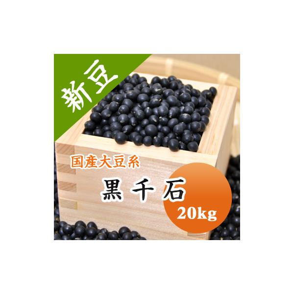 納豆用 大豆 黒豆 送料無料 黒千石大豆 北海道産 極小黒豆 令和7年産