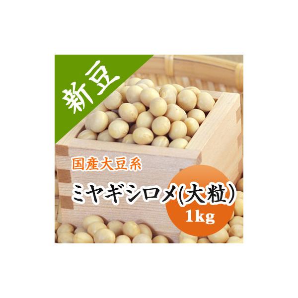 エグ味が抑えられほんのりとした甘みがあります。へその部分が白いので味噌などの加工品がきれいに仕上がります。遺伝子組み換えではありません。■名　　称：ミヤギシロメ■産　　地：宮城県■年　　産：令和７年■賞味期限：特に設定なし。収穫後２〜３年以...