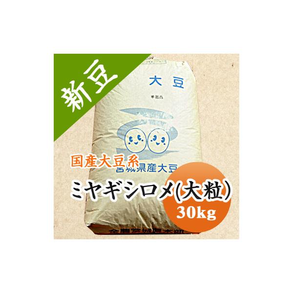 送料無料 ミヤギシロメ大豆 宮城県産 大粒 令和6年産 30kg 業務 送料無料 ミヤギシロメ大豆 宮城県産 大粒 令和6年産 30kg 業務