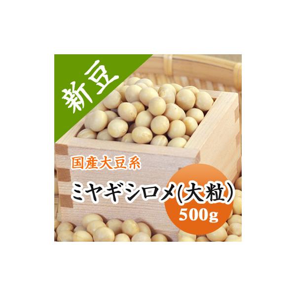ミヤギシロメ大豆 宮城県産 大粒 令和７年産 500g