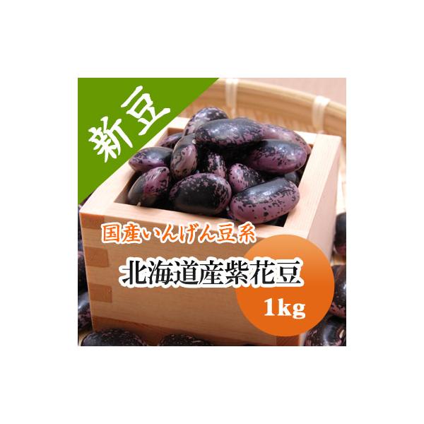 豆 紫花豆 北海道産 令和６年産 1kg