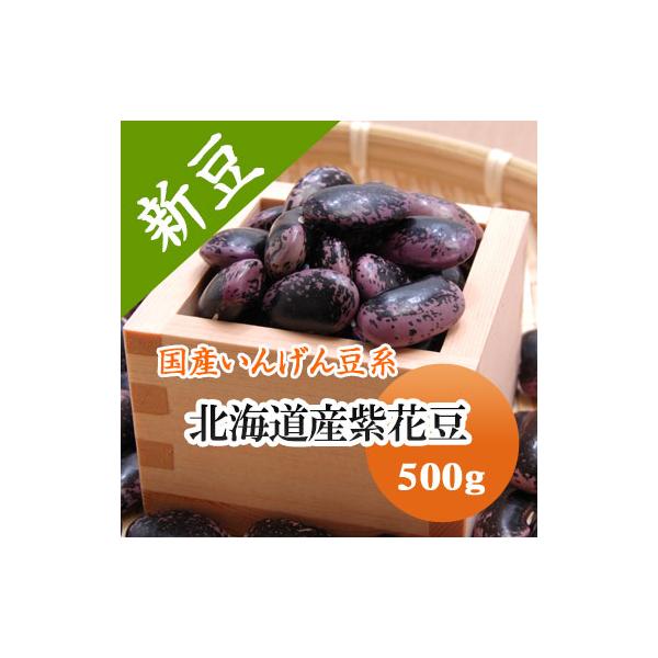 豆 紫花豆 北海道産 令和６年産 500g