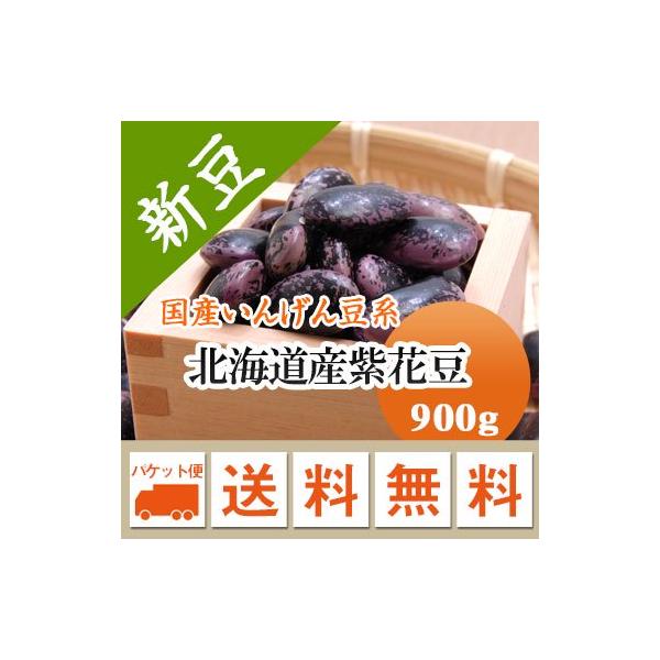 豆 紫花豆 北海道産 令和６年産 メール便 送料無料 900g ※日時指定不可・代引不可・同梱不可商品　