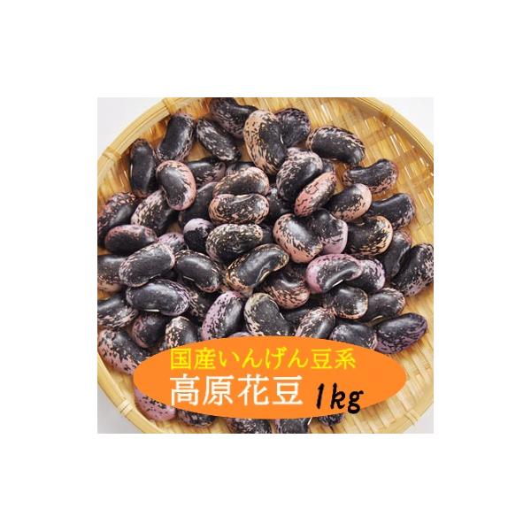 高原花豆とも呼ばれ、紫花豆が高原で育つ事で更に大粒なった豆です。遺伝子組み換えではありません。■名　　称：紫花豆（高原豆）■産　　地：長野県　山梨県■年　　産：令和６年■賞味期限：特に設定なし。収穫後２〜３年以内にお使い下さい。■保存方法：...
