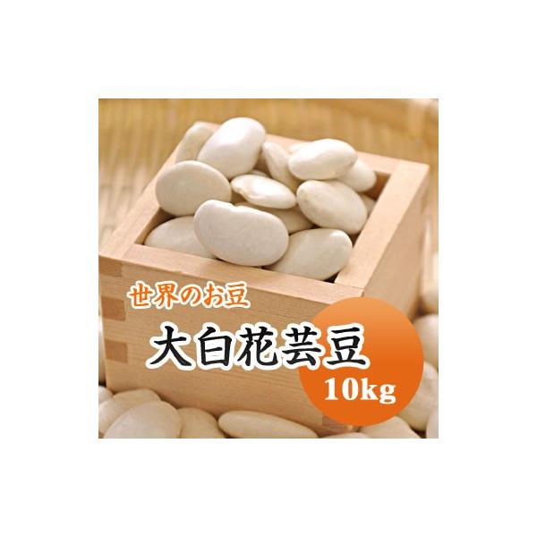 豆 白花豆 大白花芸豆 10kｇ 中国産 送料無料