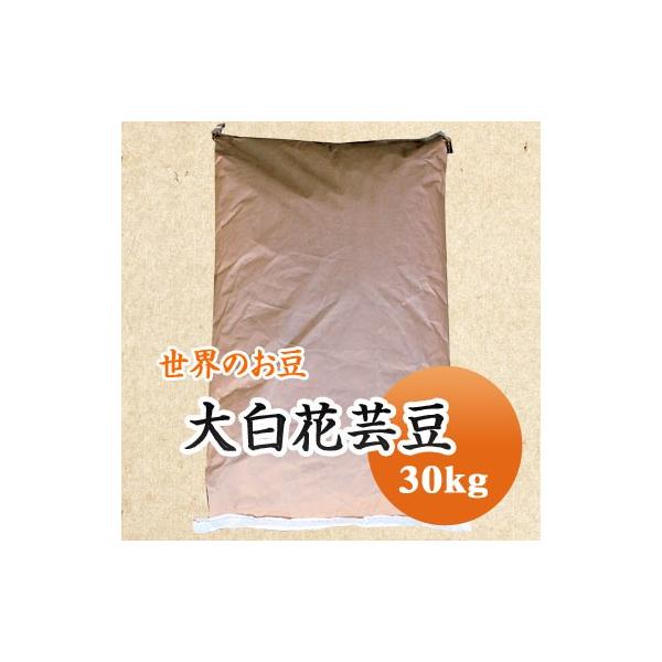 豆 白花豆 大白花芸豆 30kｇ 中国産 送料無料