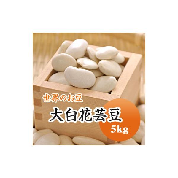 豆 白花豆 大白花芸豆 5kｇ 中国産