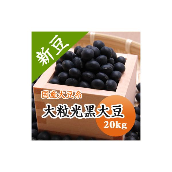 黒豆 大粒黒豆 送料無料 北海道産 令和6年産 20kg 業務用 