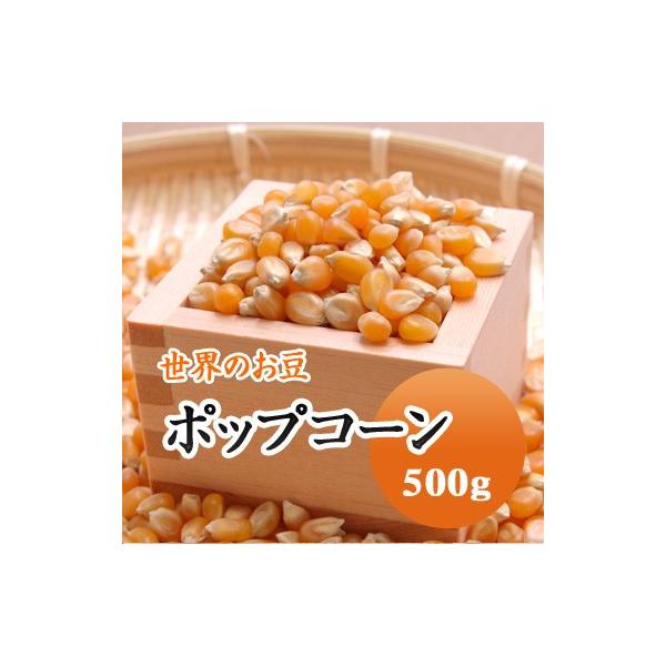 ポップコーン アメリカ産 500g