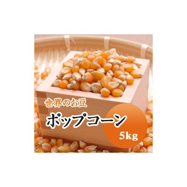 ポップコーン アメリカ産 5kg