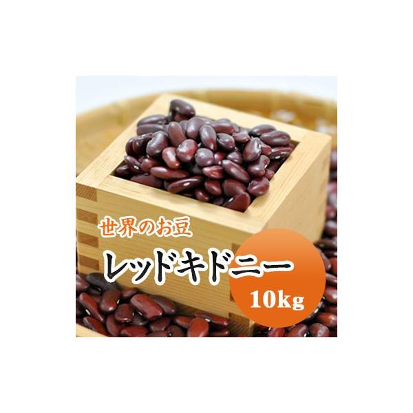 豆 レッドキドニー チリビーンズ アメリカ産 送料無料 10kg