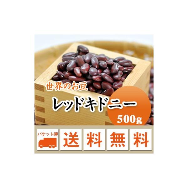 豆 レッドキドニー チリビーンズ アメリカ産 500g メール便送料無料 ※日時指定不可・代引不可・同梱不可商品　