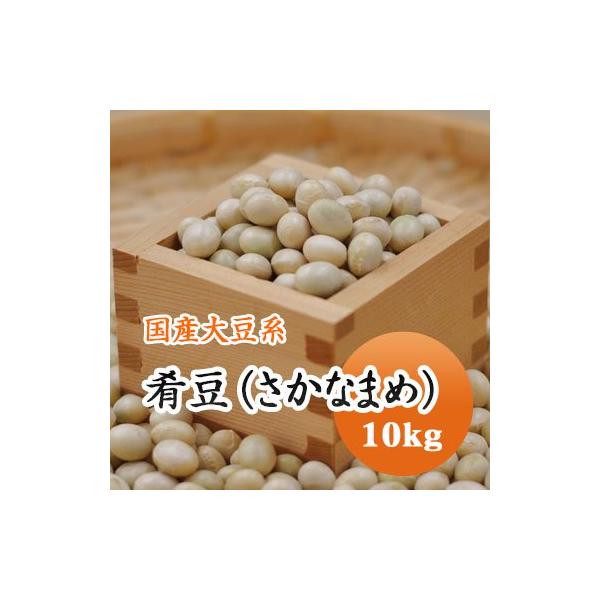 大豆 肴豆 ( さかな豆 ) 宮城県産 10kg  令和７年産
