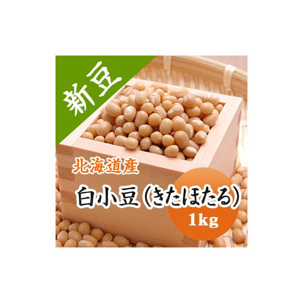 豆 白小豆 しろあずき 北海道産　令和７年産 1kg