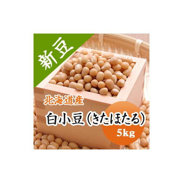 豆 白小豆 しろあずき 送料無料 北海道産 令和７年産 ５kg 送料無料 業務用
