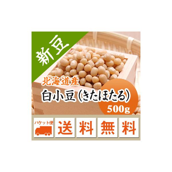 豆 白小豆 しろあずき 北海道産  令和７年産 メール便 送料無料 500g  ※日時指定不可・代引不可・同梱不可商品　