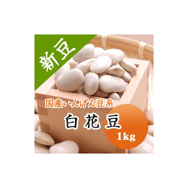 豆 白花豆 北海道産 令和７年産 1kg