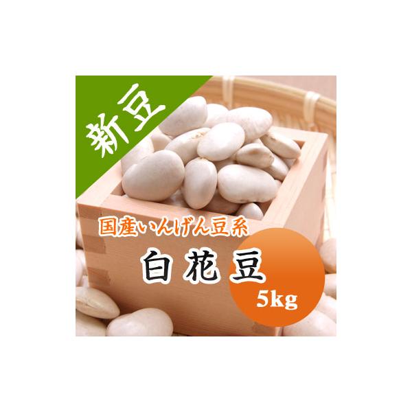 豆 白花豆 送料無料 北海道産 令和７年産 5kg 業務用