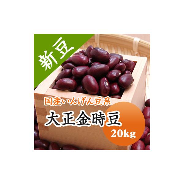 金時豆20キロ 豆 金時豆 北海道産 大正金時 【令和7年産】 20kg 業務用 送料無料