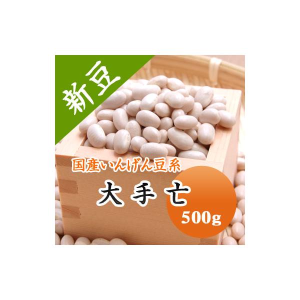 豆 白いんげん豆 北海道産 大手亡 令和７年産 500g 【外観ばらつきあり（良品外）】