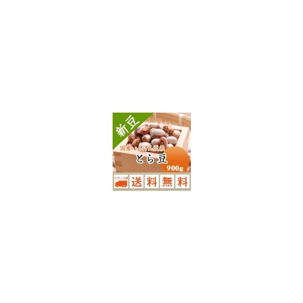 豆 とら豆 北海道産 令和７年産 メール便送料無料 900g ※日時指定不可・代引不可・同梱不可商品　