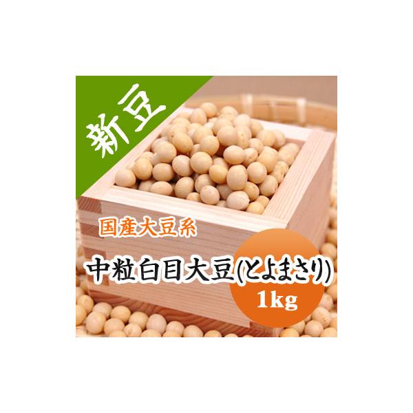 豆 大豆 中粒白目大豆 とよまさり 北海道産 味噌 令和７年産 1kg