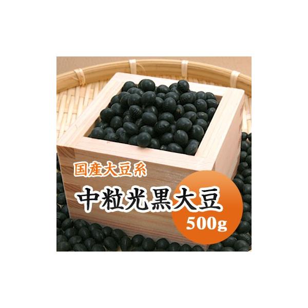 豆 大豆 黒豆 中粒黒豆 北海道産 令和７年産 500g