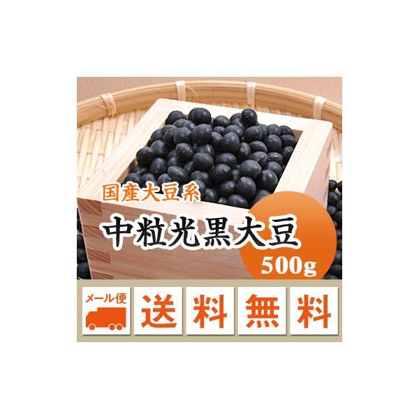 豆 大豆 黒豆 中粒黒豆 北海道産 令和７年産 メール便 送料無料 500g ※日時指定不可・代引不可・同梱不可商品　