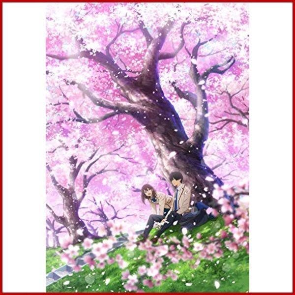 劇場アニメ 君の膵臓をたべたい 完全生産限定版 Blu Ray Www Buhlenkalashe Co Za