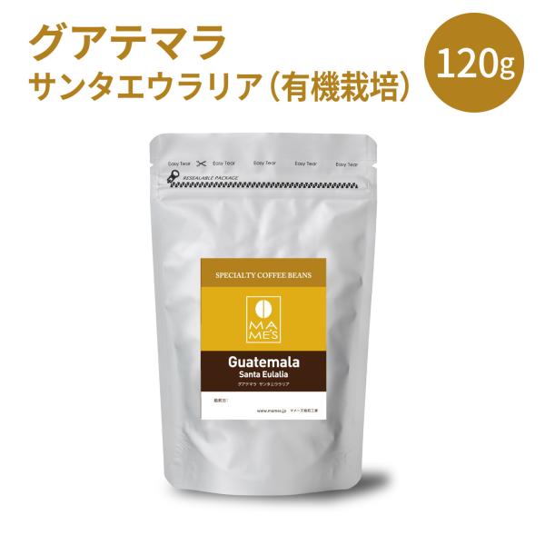 コーヒー豆 グァテマラ サンタエウラリア ファンシー SHB 有機栽培 120g スペシャルティ コーヒー マメーズ焙煎工房