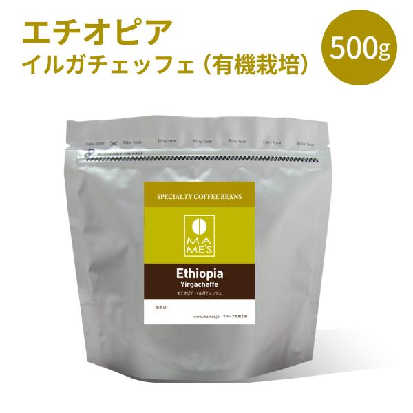 コーヒー豆 エチオピア イルガチェッフェ G2 有機栽培 500g モカ スペシャルティ コーヒー マメーズ焙煎工房