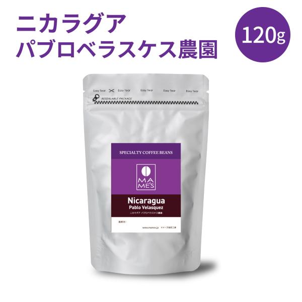 コーヒー豆 ニカラグア パブロ ベラスケス 120g スペシャルティ コーヒー 珈琲 マメーズ焙煎工房
