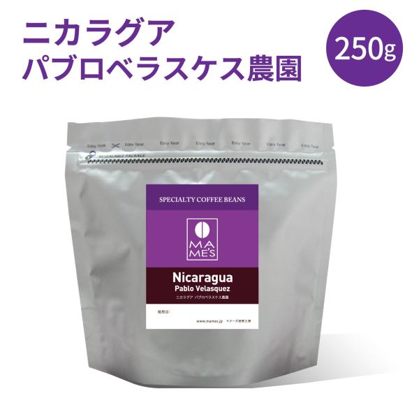 コーヒー豆 ニカラグア パブロ ベラスケス 250g スペシャルティ コーヒー 珈琲 マメーズ焙煎工房