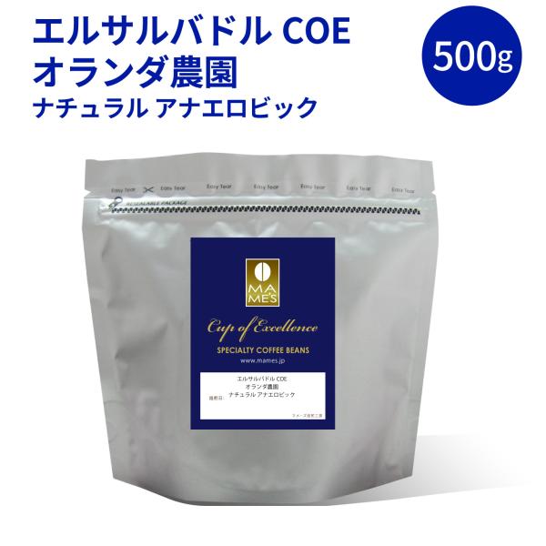 コーヒー豆  　エルサルバドルCOE　オランダ農園　  500g スペシャルティ コーヒー マメーズ焙煎工房