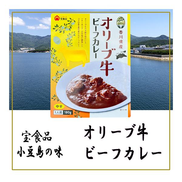 宝食品 オリーブ牛 ビーフカレー 180g 中辛 新発売