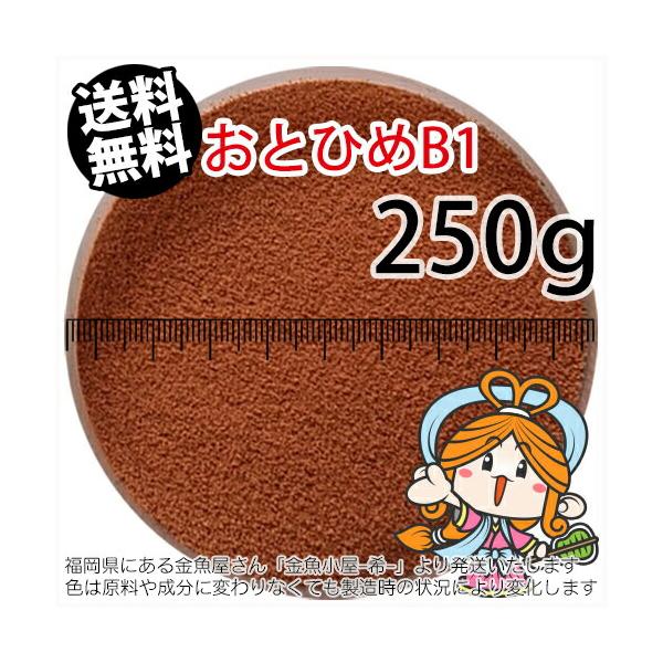 アクアリウム用エサ 熱帯魚 おとひめの人気商品 通販 価格比較 価格 Com