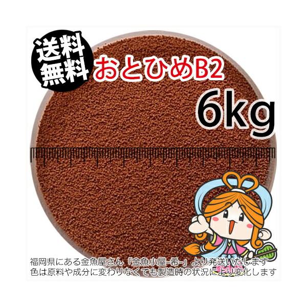 B2 おとひめ アクアリウム用 エサの人気商品 通販 価格比較 価格 Com