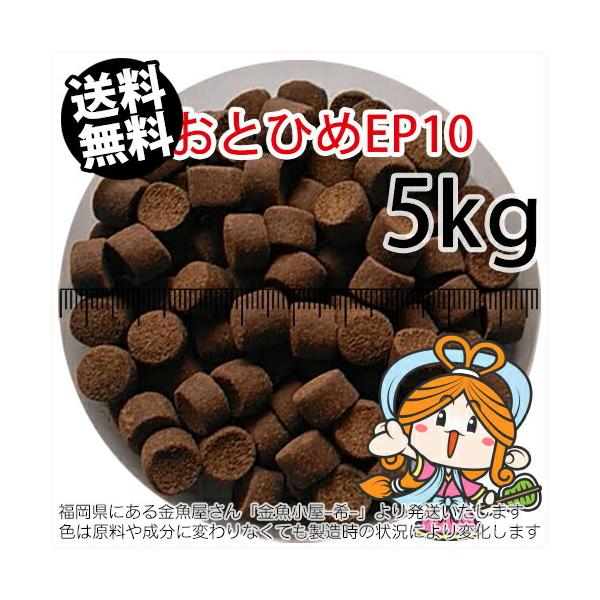 日清丸紅飼料 おとひめEP10 5kg 沈下性 10.0×8.0㎜ 送料無料 沈降性(沈下性)日清丸紅飼料おとひめEP10(10〜8.0mm)5kg小分け品