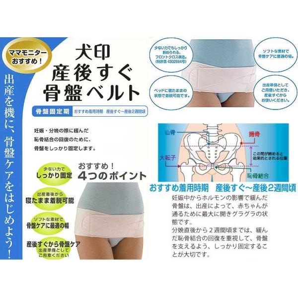 メール便送料無料 犬印本舗 産後 すぐ骨盤ベルト N30rr M L 産後リフォームインナー ウエストニッパー Prettyfunnyballoons Com