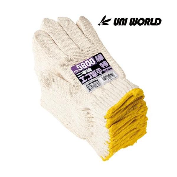 aR(gN{[) j[h GRR ȓa2{҂ 12o×10Zbg(120o)  5800