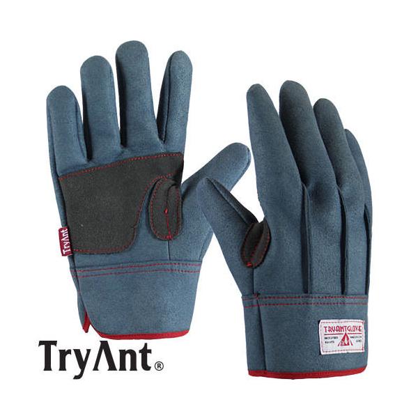 lHv TryAnt gCAg Je wD 10o #819 Ǝ