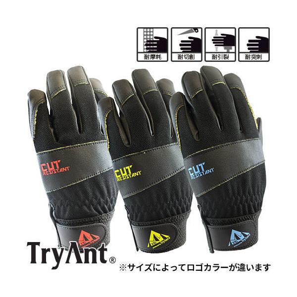 v TryAnt gCAg ϐؑnPU 5o #717 Ǝ