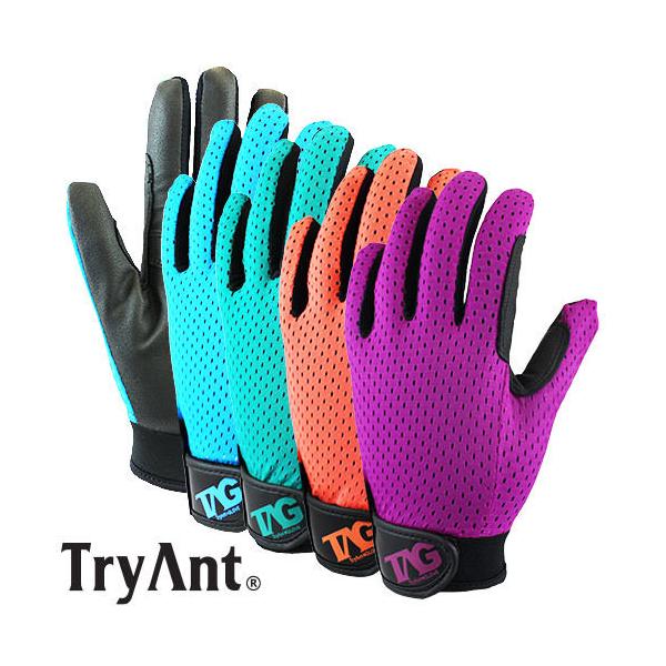 v TryAnt gCAg Xgb`\tg 10o #198 Ǝ