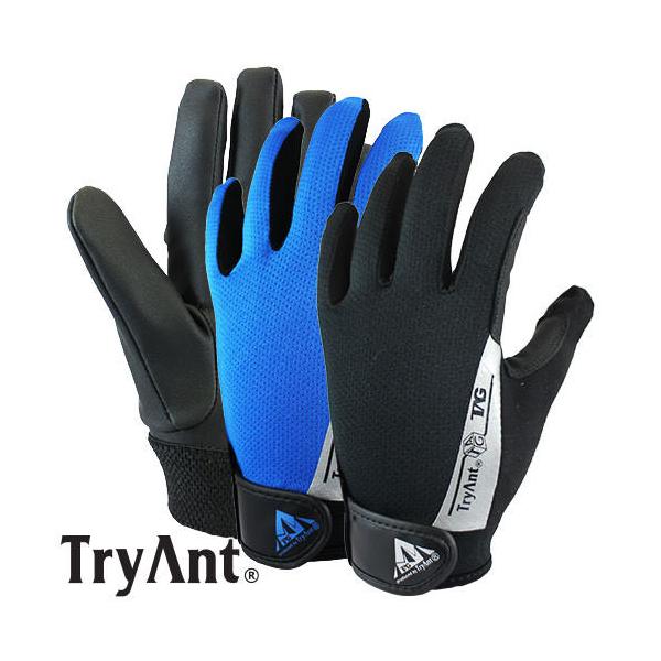 v TryAnt gCAg Xgb`^b` 10o #621 Ǝ