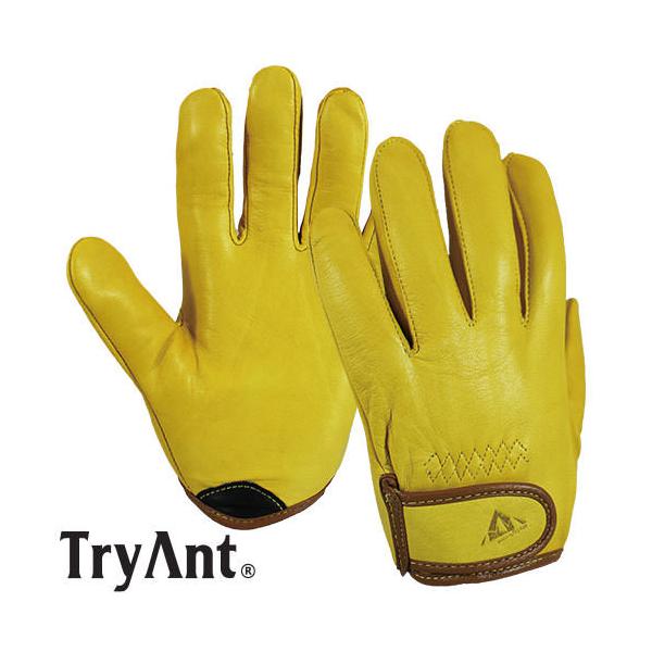 v TryAnt gCAg V[gV[v(rv) 10o #916 v