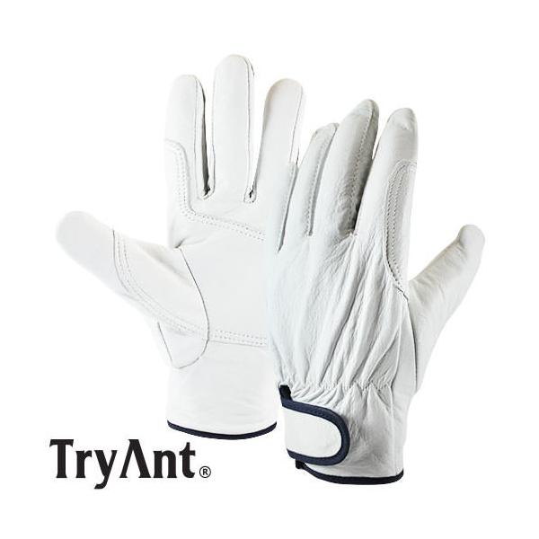 ؊v TryAnt gCAg ؊vNXg bV oh 10o #9200 v